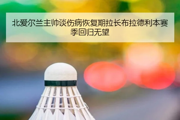 北爱尔兰主帅谈伤病恢复期拉长布拉德利本赛季回归无望